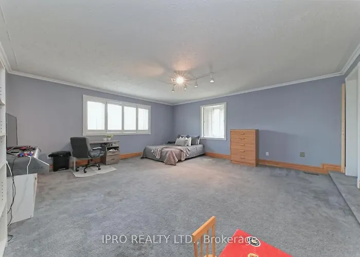 Brampton Nest For Newcomers In Toronto- Everything Walking, Food, Transit, Plaza